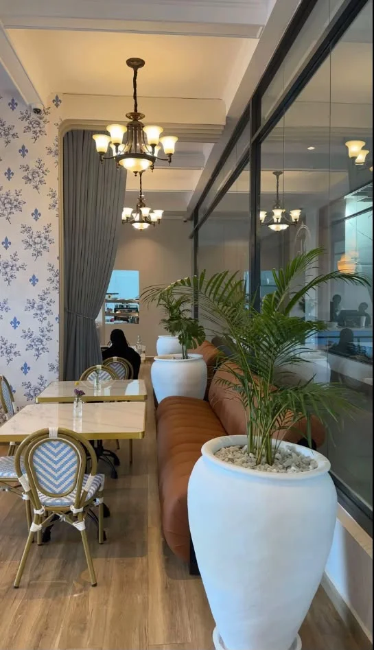 Morning sun on a Maison banquette and the palms outside
